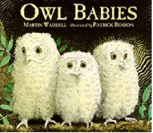 Owl Babies