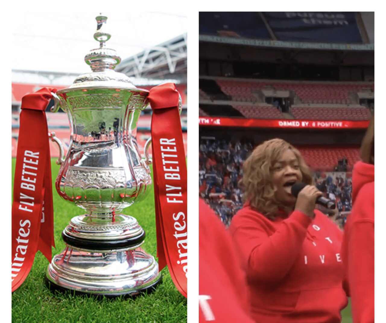 Mrs Fletcher at Wembley